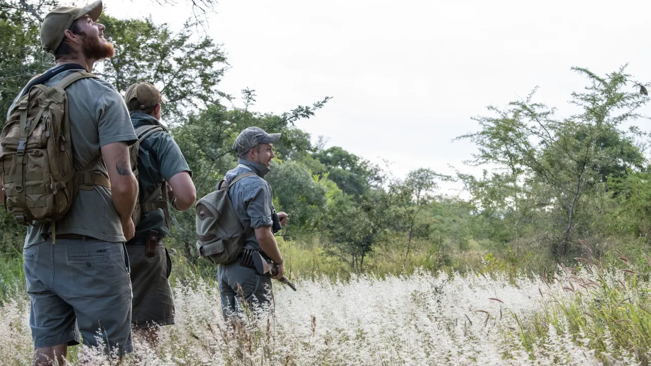 Mavela Game Lodge — image 14