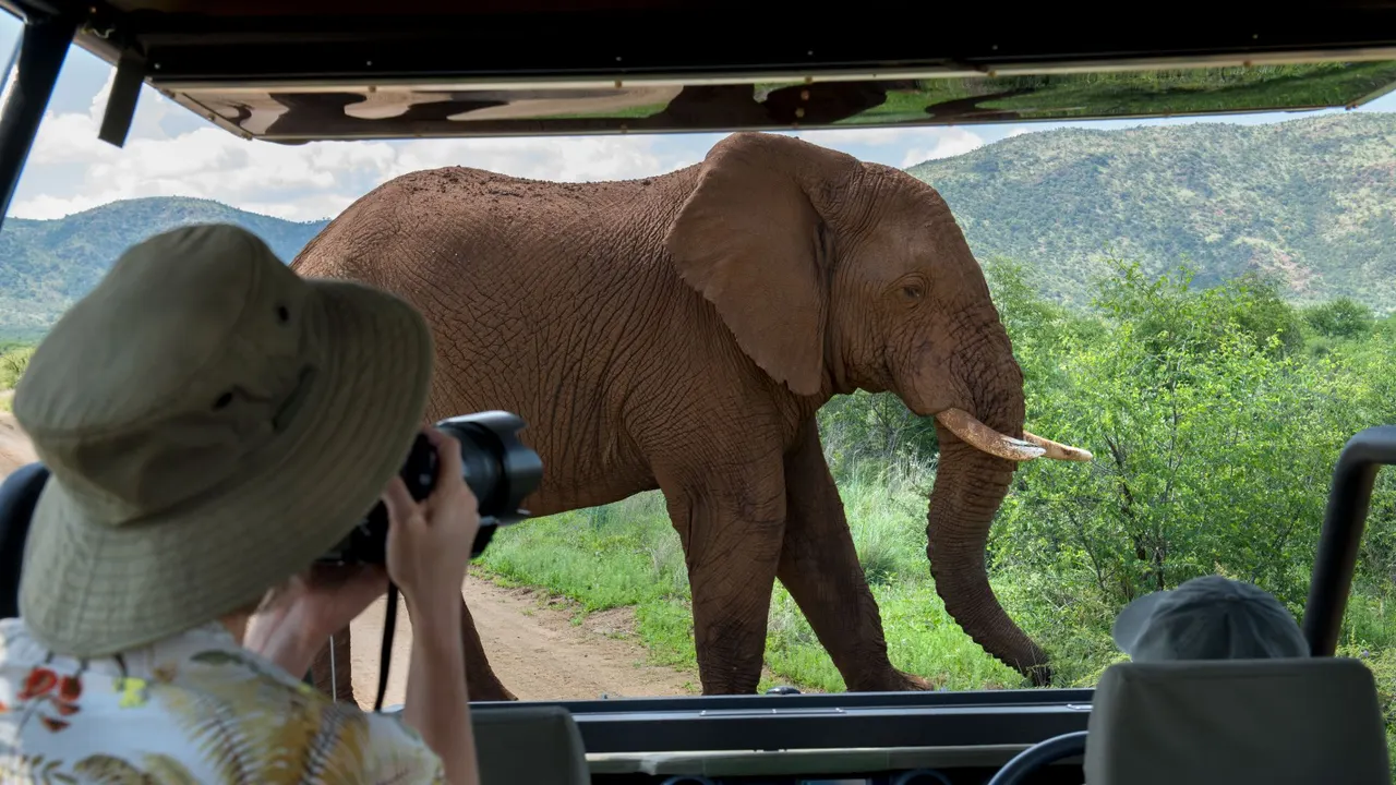 Mbazo Safari Lodge — image 18