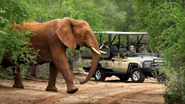 Mbazo Safari Lodge — image 9