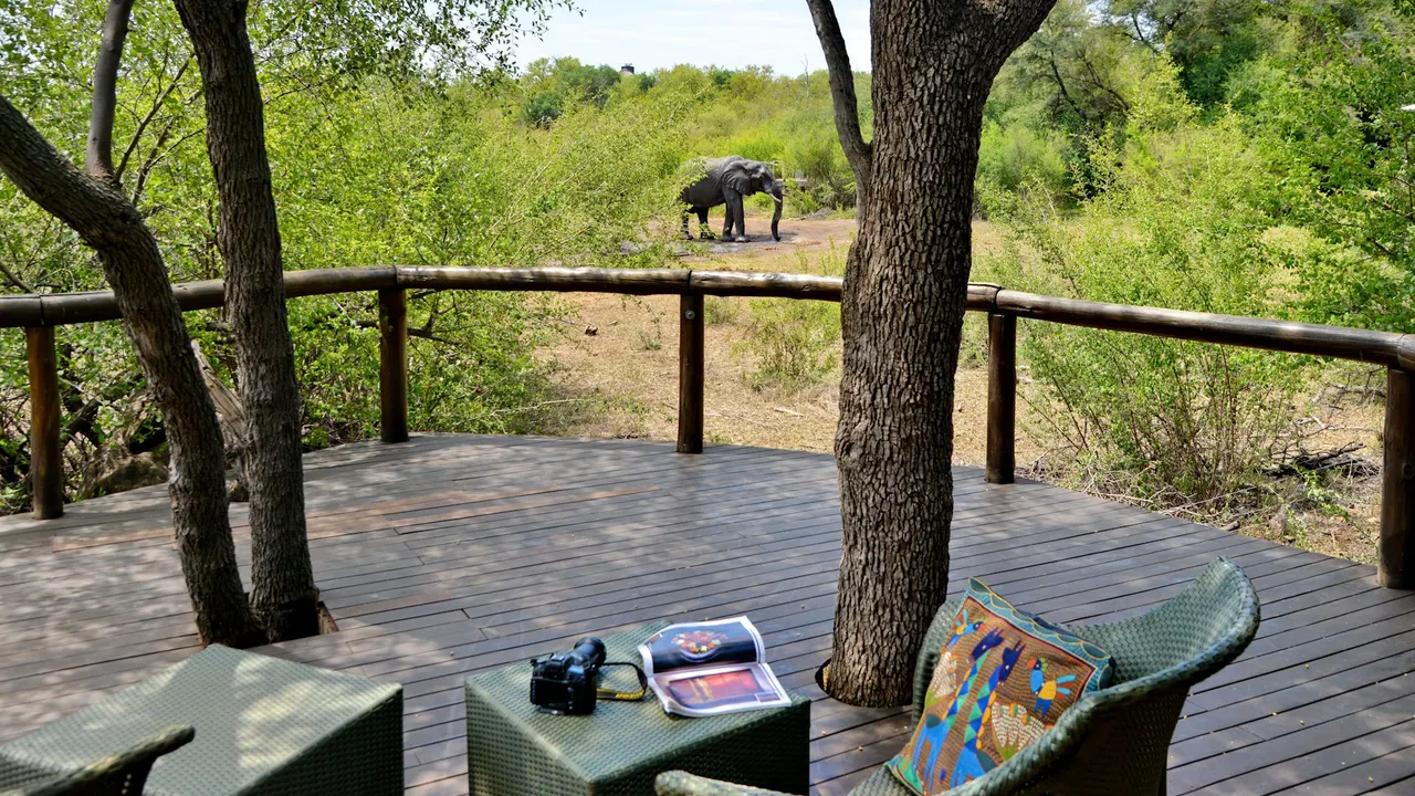 Motswiri — image 29