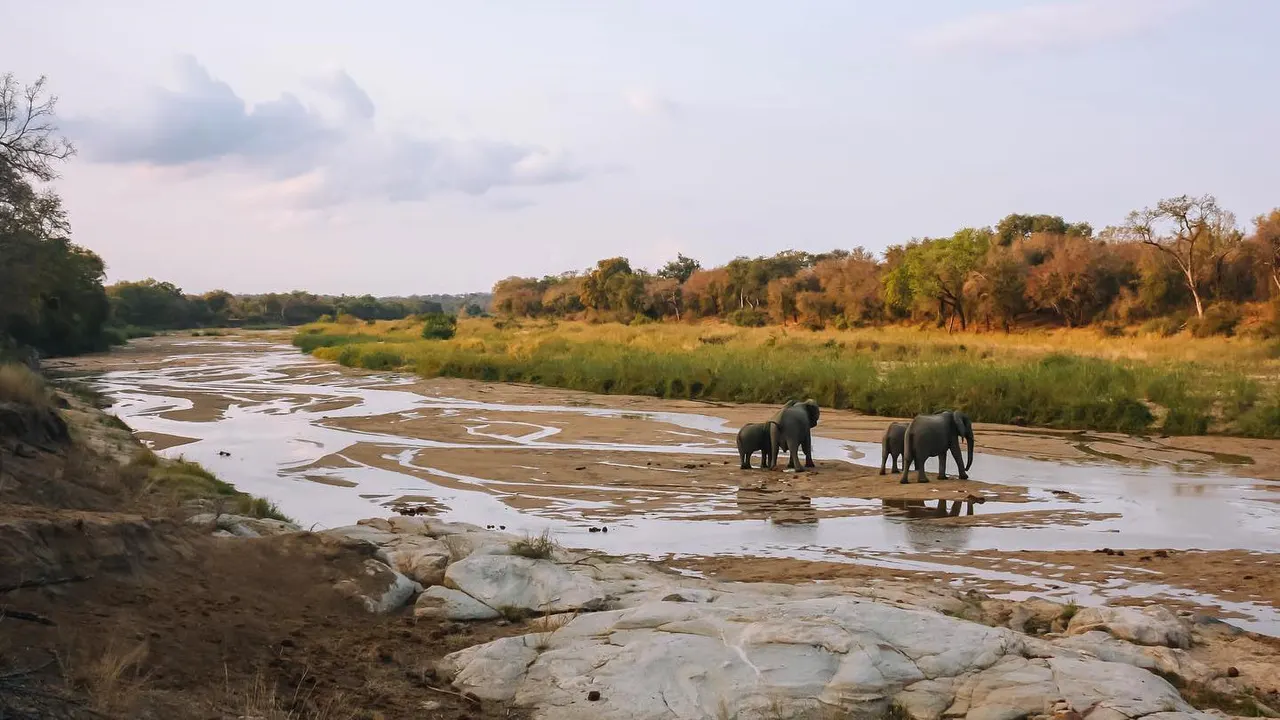 Mthembu Lodge — image 28