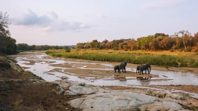 Mthembu Lodge — image 28
