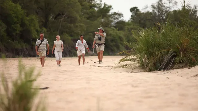 Ngala Safari Lodge — image 15