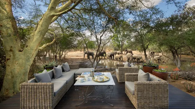 Ngala Safari Lodge — image 7