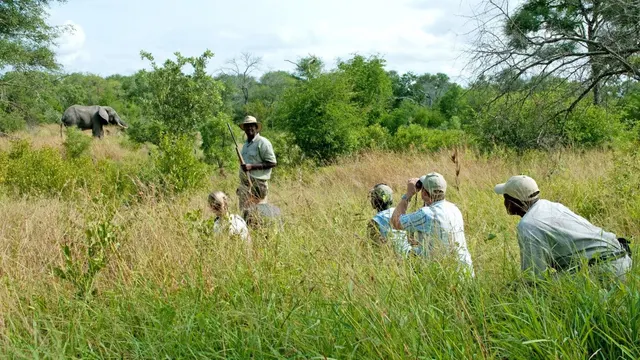Notten's Bush Camp — image 10