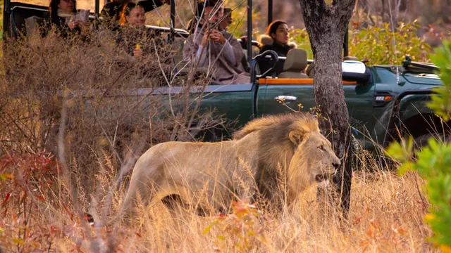 Nungubane Game Lodge — image 37