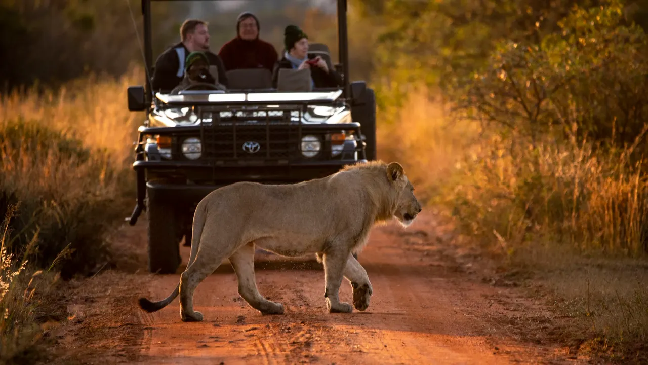 Nungubane Game Lodge — image 33