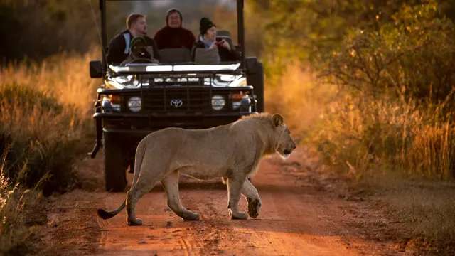 Nungubane Game Lodge — image 33
