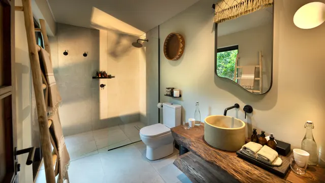 Phinda Forest Lodge — image 19