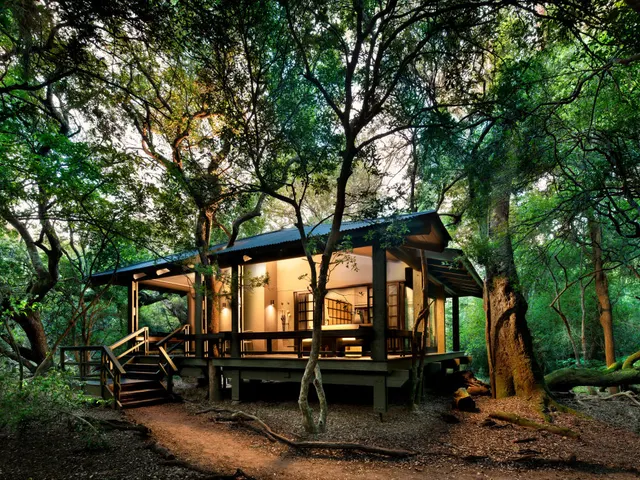 Phinda Forest Lodge