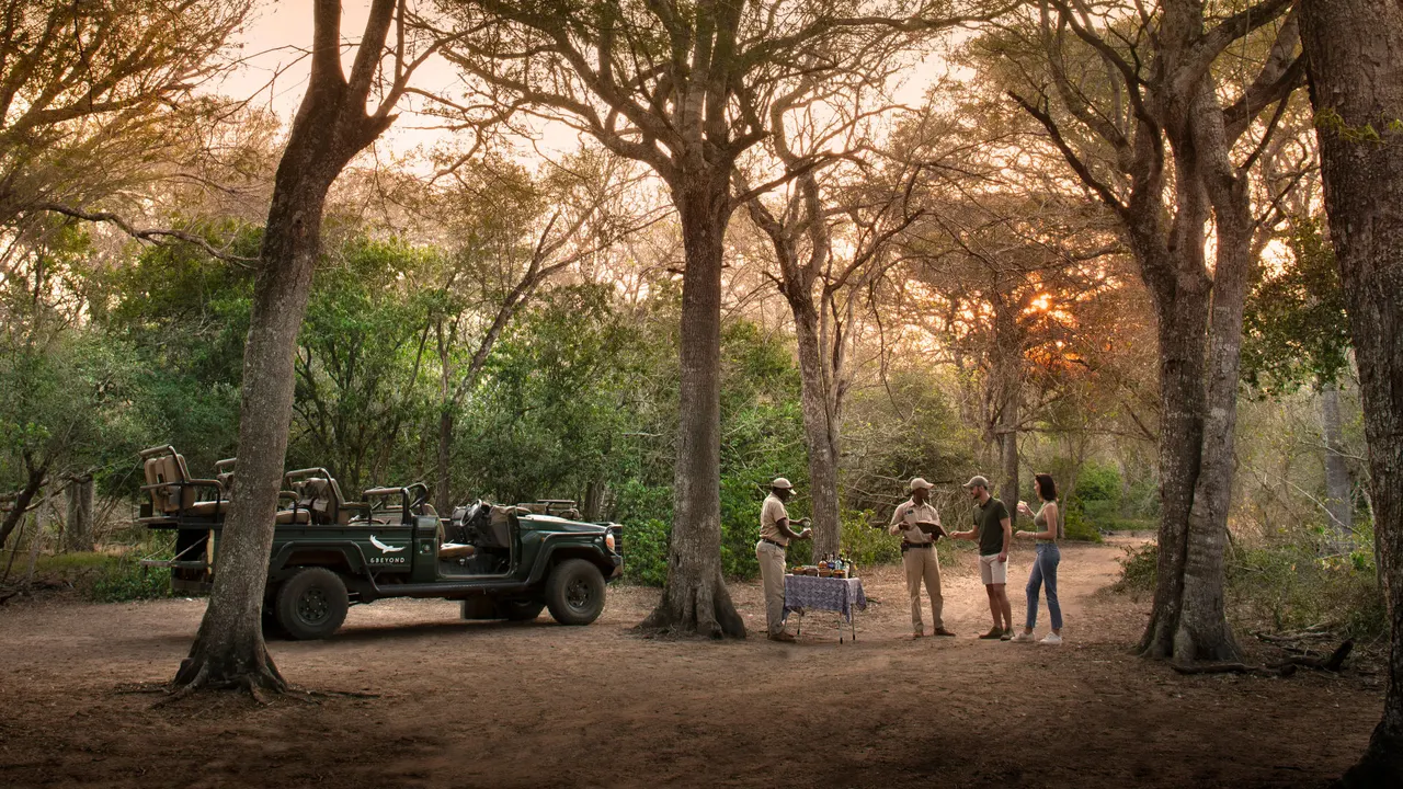 Phinda Forest Lodge — image 14