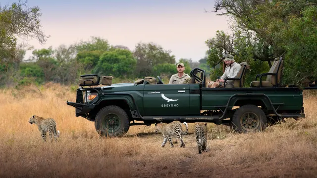 Phinda Forest Lodge — image 17