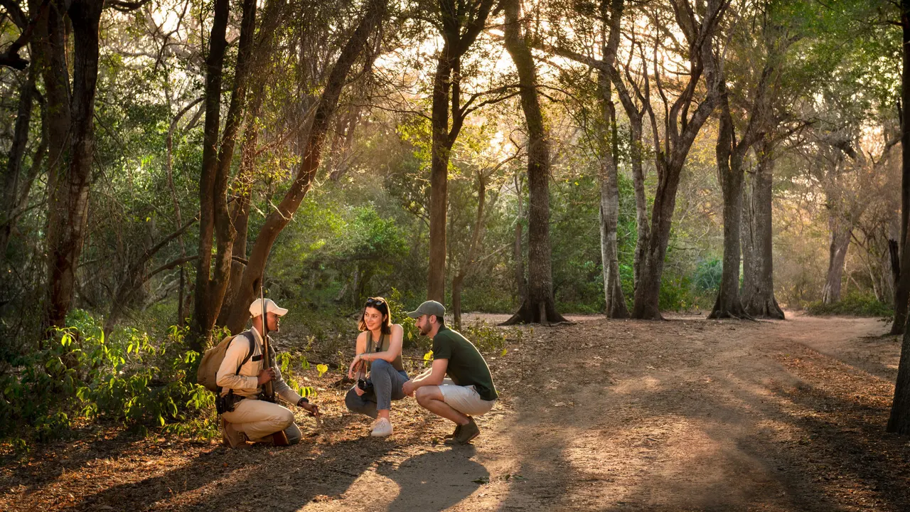 Phinda Forest Lodge — image 20