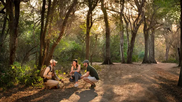 Phinda Forest Lodge — image 20