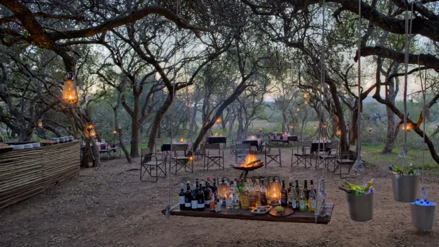 Phinda Vlei Lodge — image 13