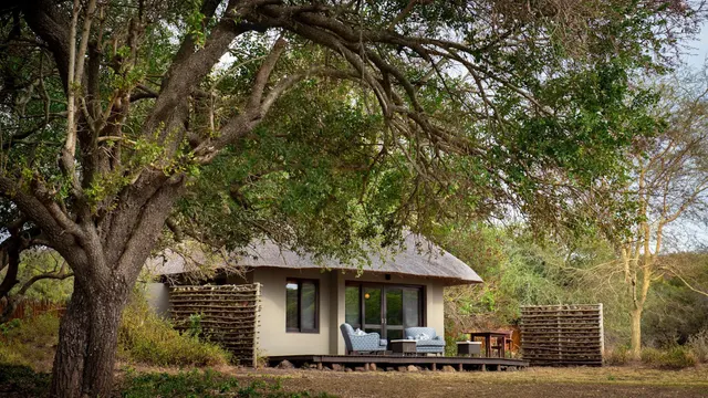 Phinda Zuka — image 31