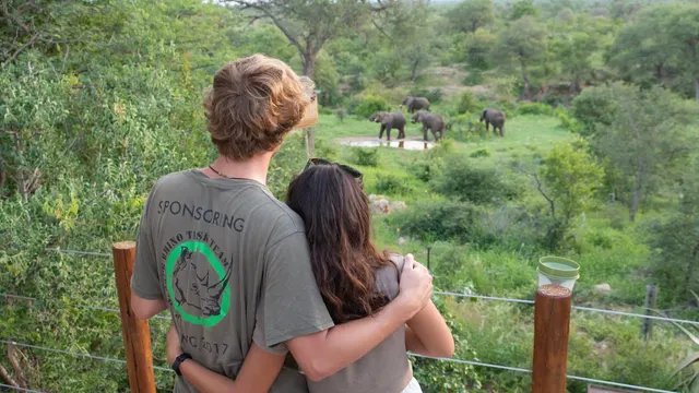 Sausage Tree Safari Camp — image 18