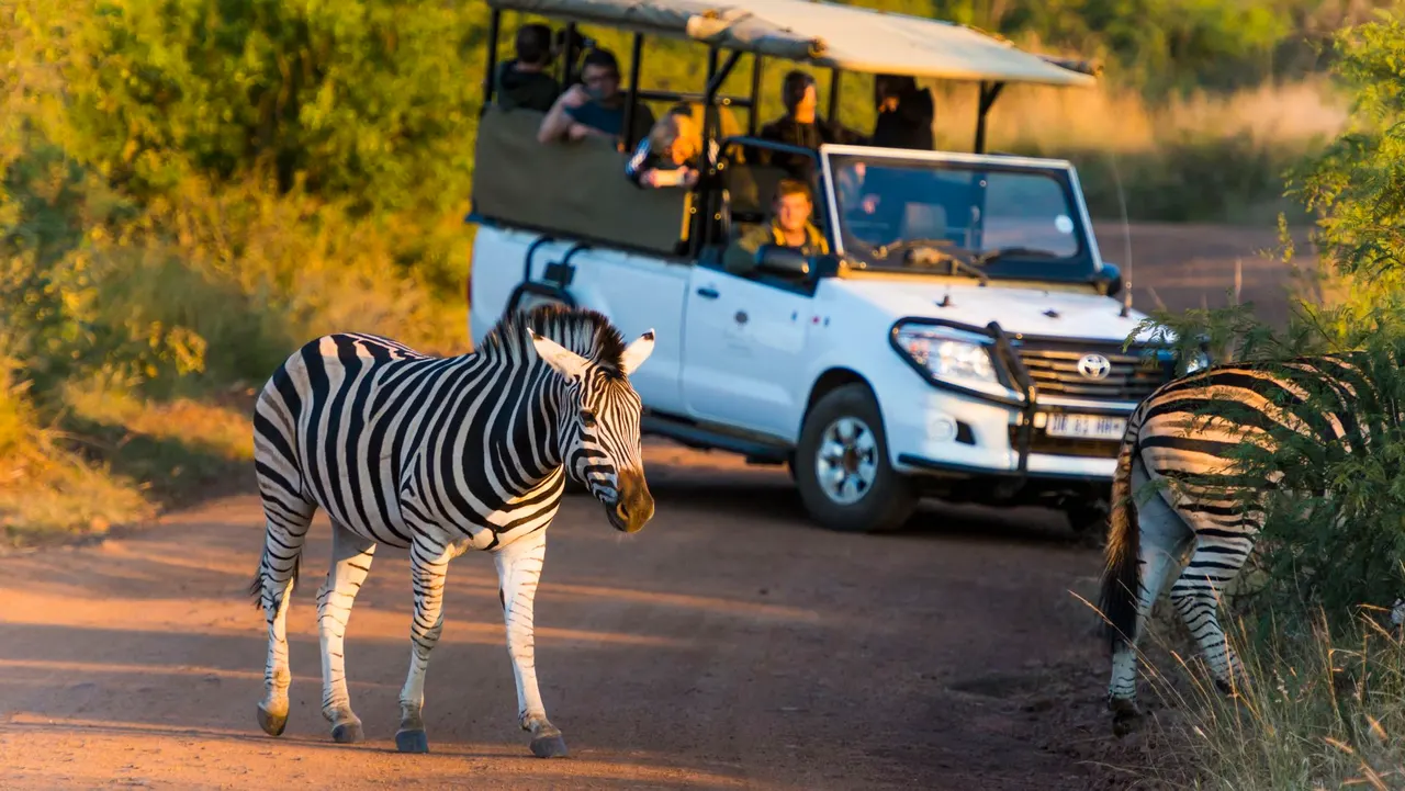 Shepherd's Tree Game Lodge — image 26