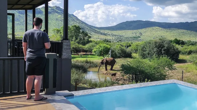 Shepherd's Tree Game Lodge — image 30