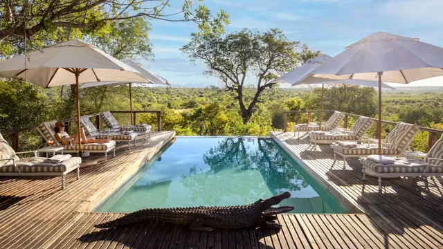 Simbavati Hilltop Lodge — image 8