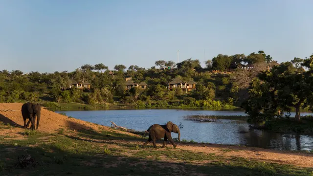 Simbavati Hilltop Lodge — image 14