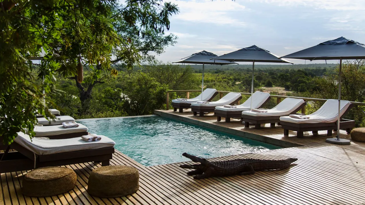 Simbavati Hilltop Lodge — image 18