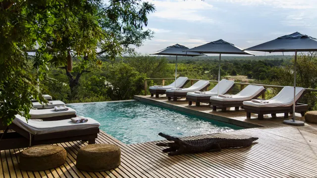 Simbavati Hilltop Lodge — image 18