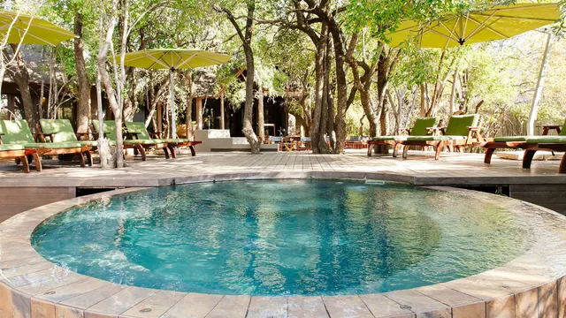 Tambuti Lodge — image 2