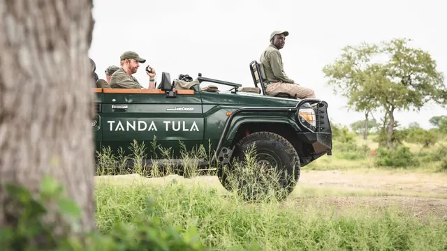 Tanda Tula — image 17