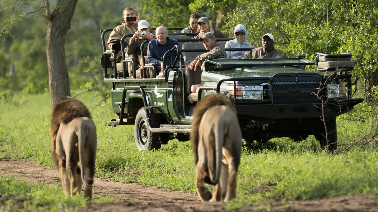 Tengile River Lodge — image 10