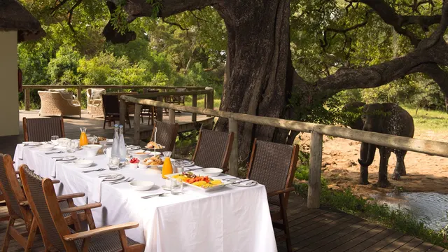 Tintswalo Safari — image 13
