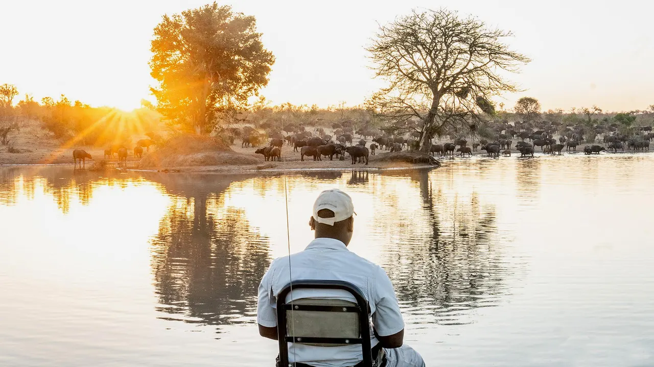 Tintswalo Safari — image 5