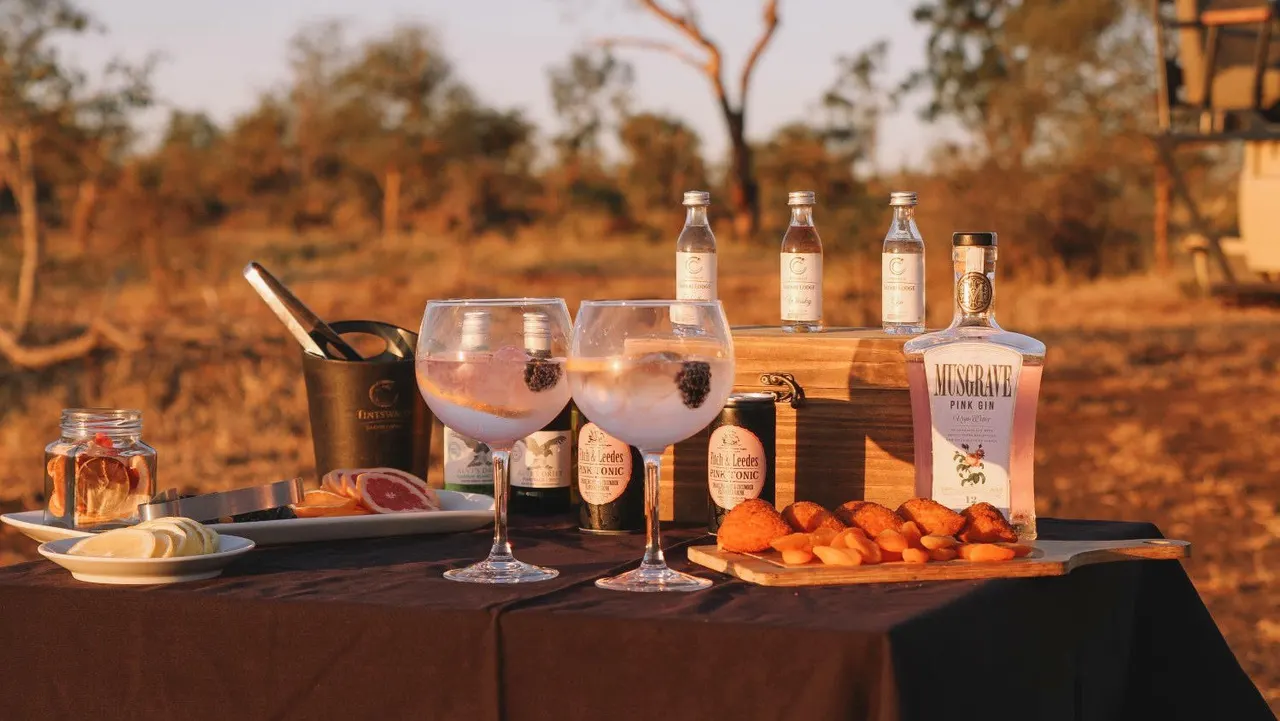 Tintswalo Safari — image 20