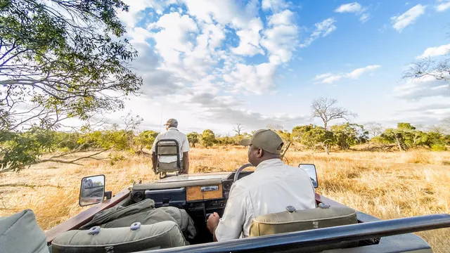 Tintswalo Safari — image 10