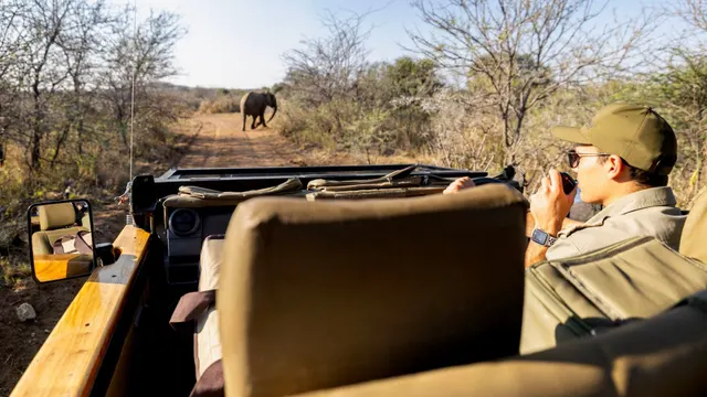 Tsholo Safari Lodge — image 24