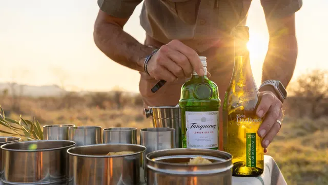 Tsholo Safari Lodge — image 11