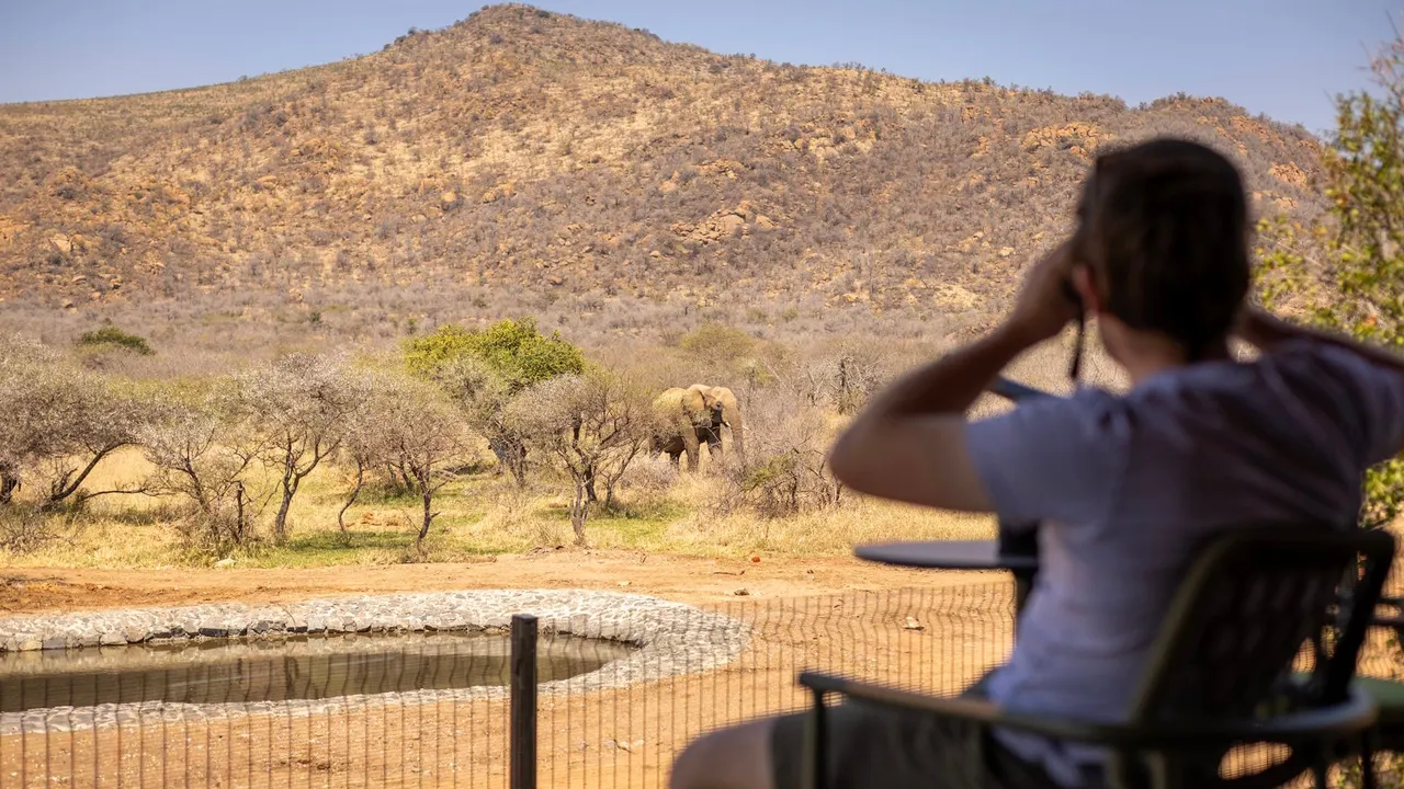 Tsholo Safari Lodge — image 26