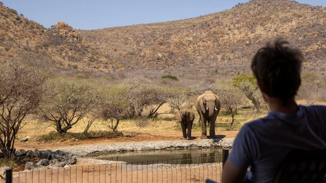 Tsholo Safari Lodge — image 14
