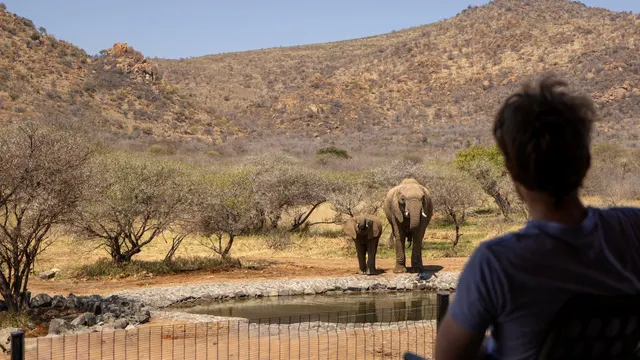 Tsholo Safari Lodge — image 14