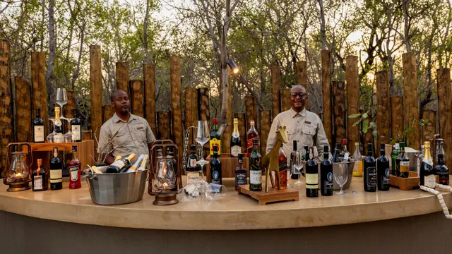 Tsholo Safari Lodge — image 31