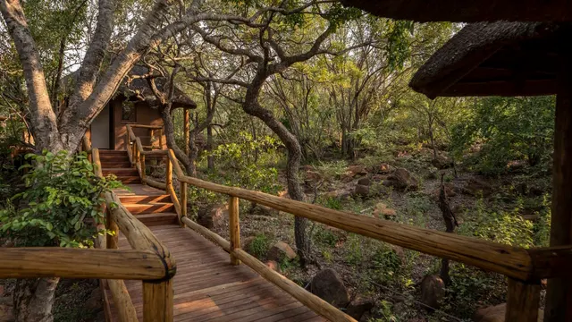 Tshwene Lodge — image 16