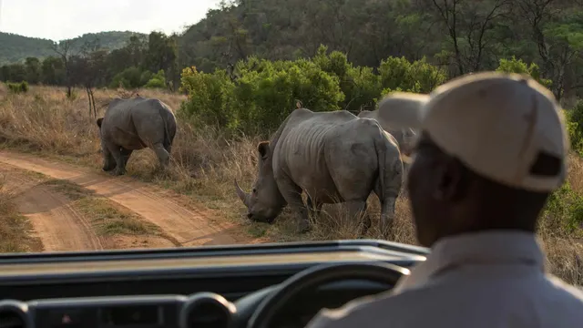 Tshwene Lodge — image 27