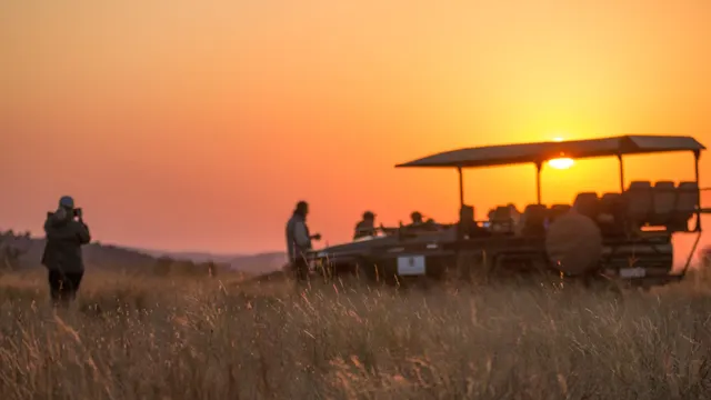 Tshwene Lodge — image 29