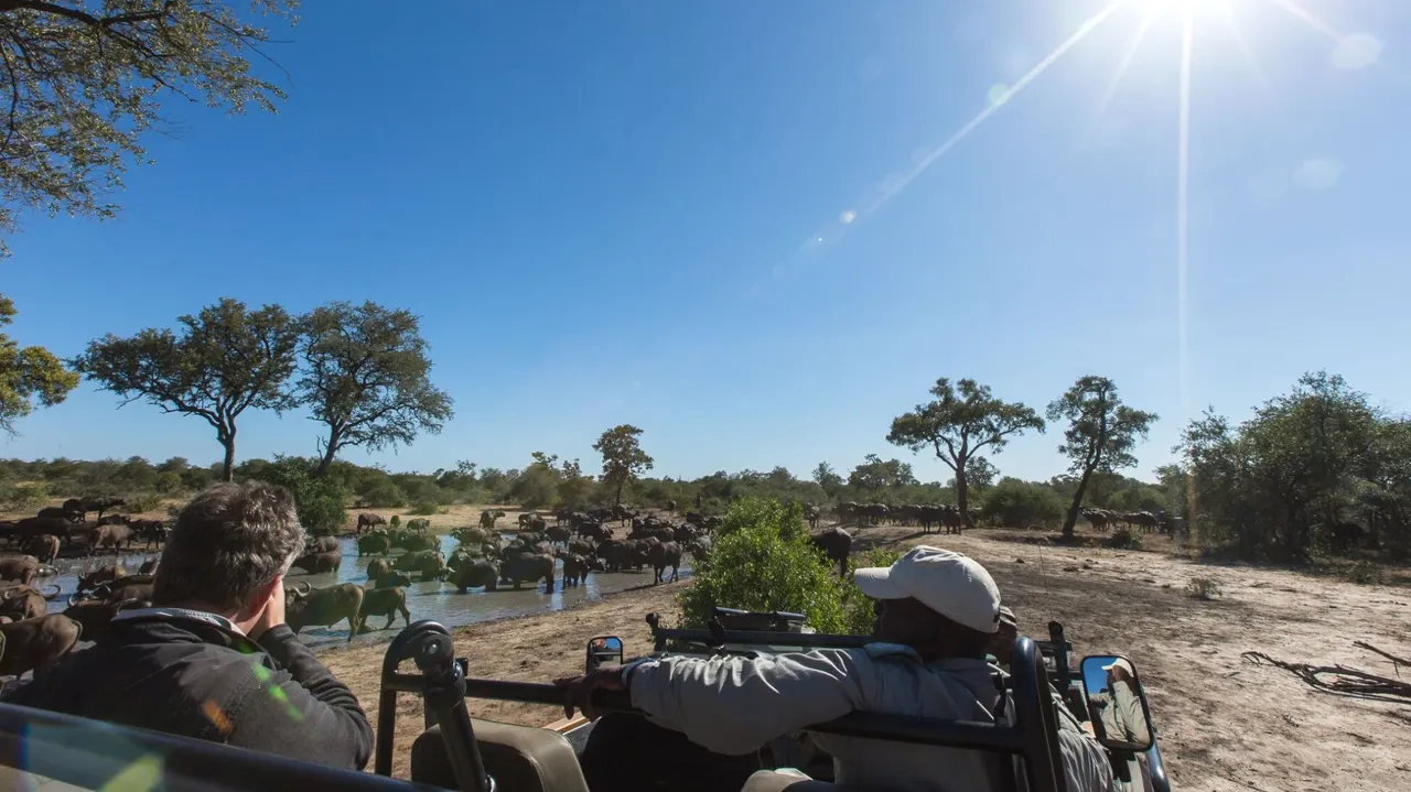 Umlani Bushcamp — image 11