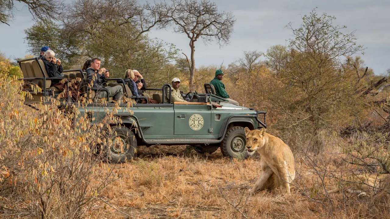 Umlani Bushcamp — image 9