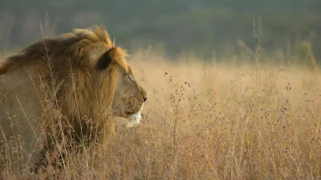 Umzolozolo Safari Lodge — image 5