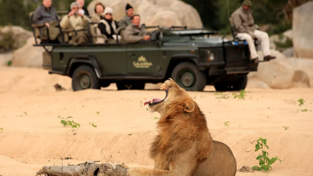 Savanna Lodge — image 3