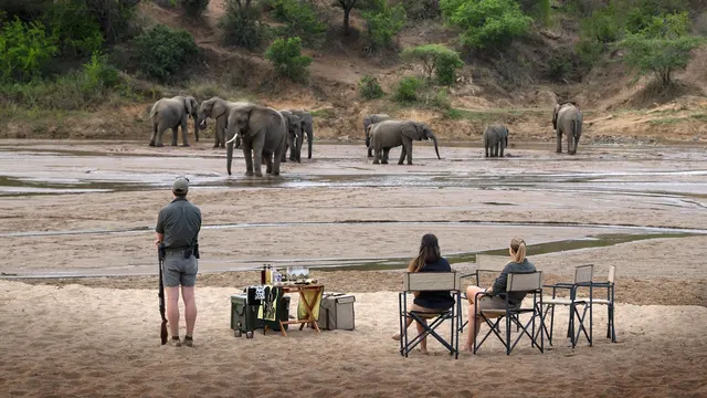 Guests seated at a sundowner stop on a dry riverbed, watching a herd of elephants cross the sand while their armed guide keeps watch