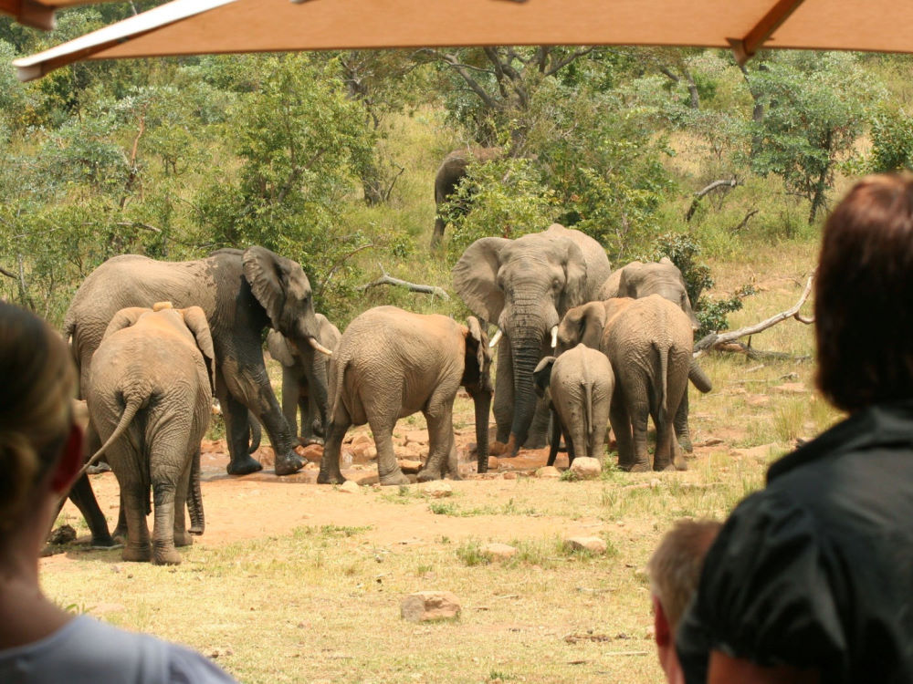 Makweti Safari Lodge